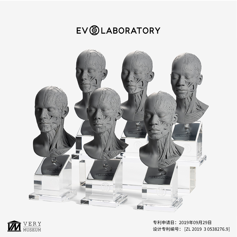 EVOLABORATORY科教模型教学现货