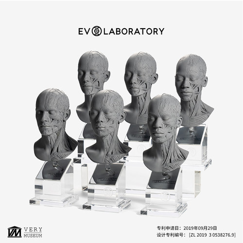 EVOLABORATORY科教模型教学现货
