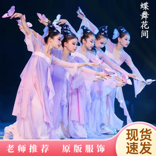 蝶舞花间舞蹈服儿童古典舞演出服中国舞练功服飘逸纱衣蝴蝶道具