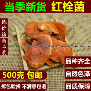 红栓菌 红樟芝 牛樟芝血红栓菌 朱砂菌 红云芝 500克g包邮