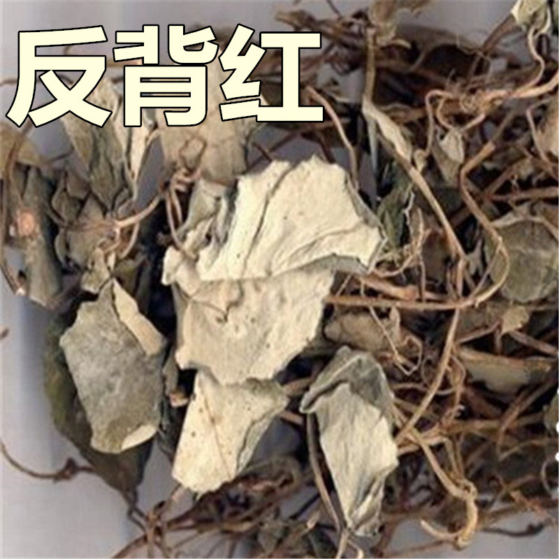 中药材大肺筋草 薄片变豆菜 肺经草 脐风草 反背红500克包邮