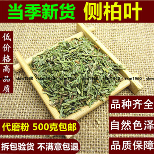 中药材 侧柏叶 新鲜侧柏叶 桑叶苦丁茶叶 500g克包邮