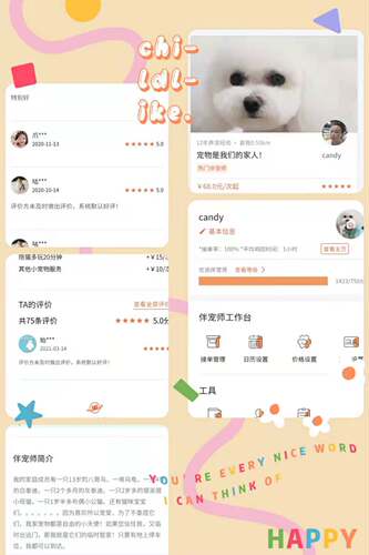杭州市内猫狗上门喂养13年养宠经验