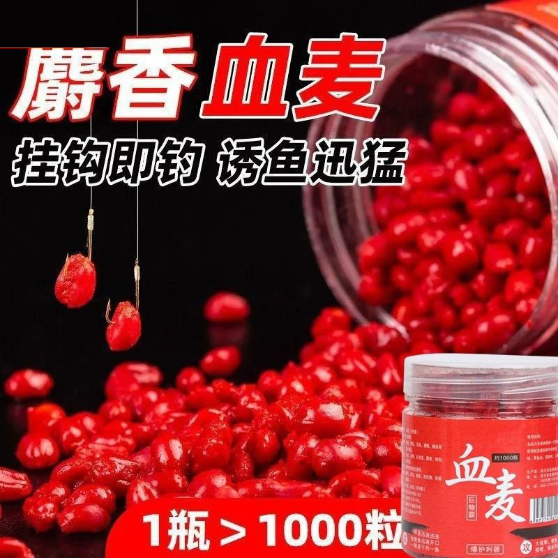 钓鱼麦子麝香鱼饵颗粒饵料挂钩野钓窝料酒米鲫鱼鲤鱼打窝玉米青鱼,户外/登山/野营/旅行用品,活饵/谷麦饵等饵料,淘宝优惠券,粉丝福利购,淘宝优惠卷