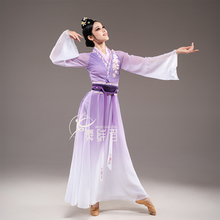 新款古典易安醉舞蹈服舞蹈服演出服装中国舞女艺考独舞剧目装定制