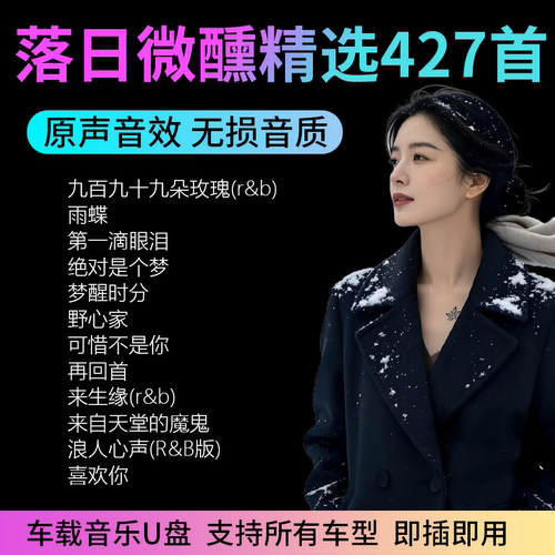 落日微醺RNB翻唱车载U盘