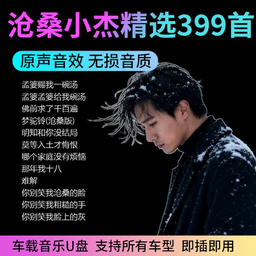 车载无损高音质怀旧经典U盘