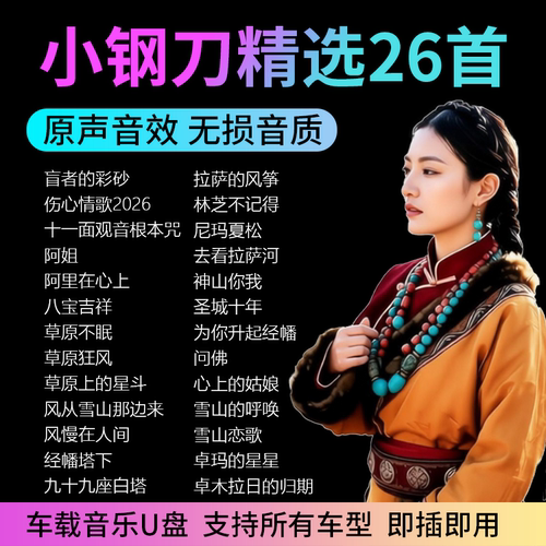 小钢刀藏歌合集车载无损U盘