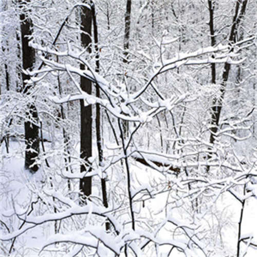 1411066_欧洲品牌，原厂直采，价格低廉，报价迅速，货期短，提供