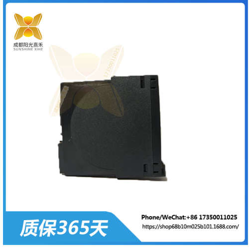 D200175   模拟输入电子模块    监测和采集各种模拟信号