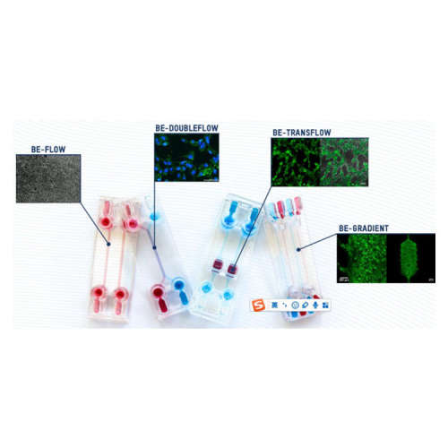 供应德国BEOnChip细胞培养微流控芯片 欧洲原厂 支持技术咨询