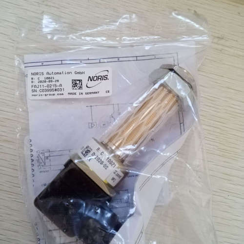 绿添科技供应德国NORIS Group限位开关 10097 RG51