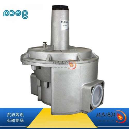 意大利GECA集咖燃气调压阀RG020-2B优惠供应燃烧机减压阀RG025-2B