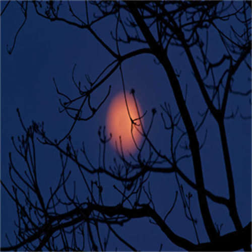 1-C9C/1KN_欧洲品牌，原厂直采，价格低廉，报价迅速，货期短，提