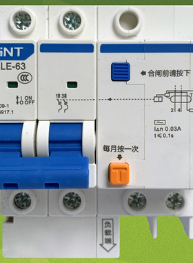 正泰漏保双极63A漏电断路器NXBLE-63 2P C63空气开关带漏电保护器