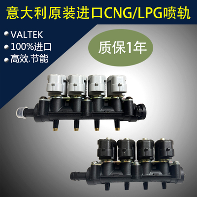 valtek燃气喷嘴意大利进口