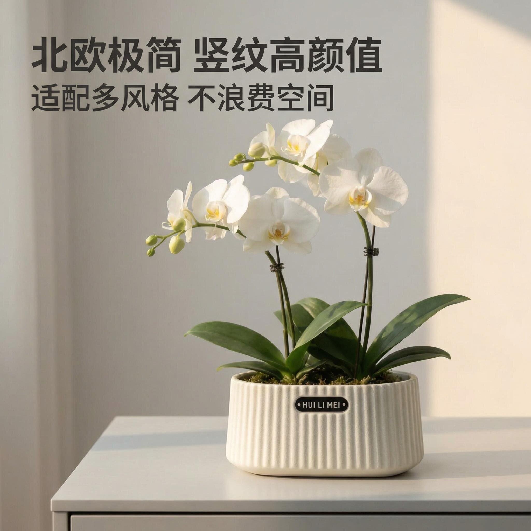 北欧简约树脂花盆矮款室内发财树郁金香蝴蝶兰吊兰创意盆绿植花盆