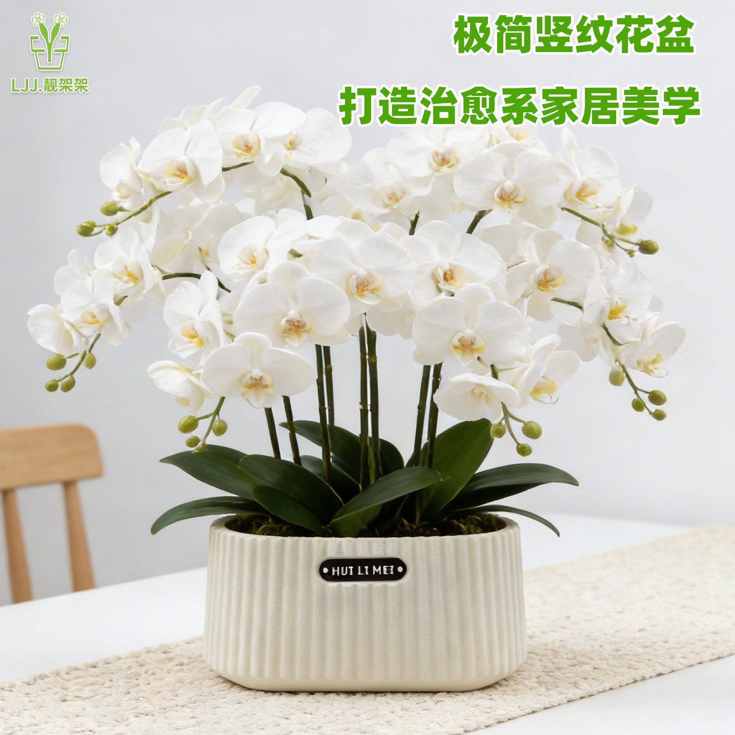 北欧简约树脂花盆矮款室内发财树郁金香蝴蝶兰吊兰创意盆绿植花盆