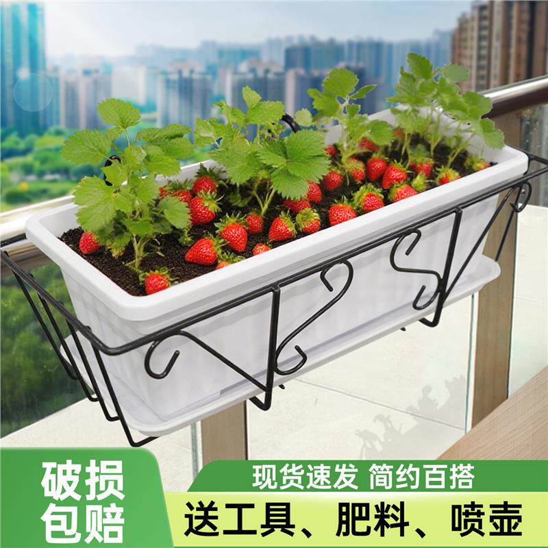 长方形种菜种花盆阳台花架栏杆花架盆栽植物护栏悬挂种草莓种植箱,鲜花速递/花卉仿真/绿植园艺,花盆,淘宝优惠券,粉丝福利购,淘宝优惠卷