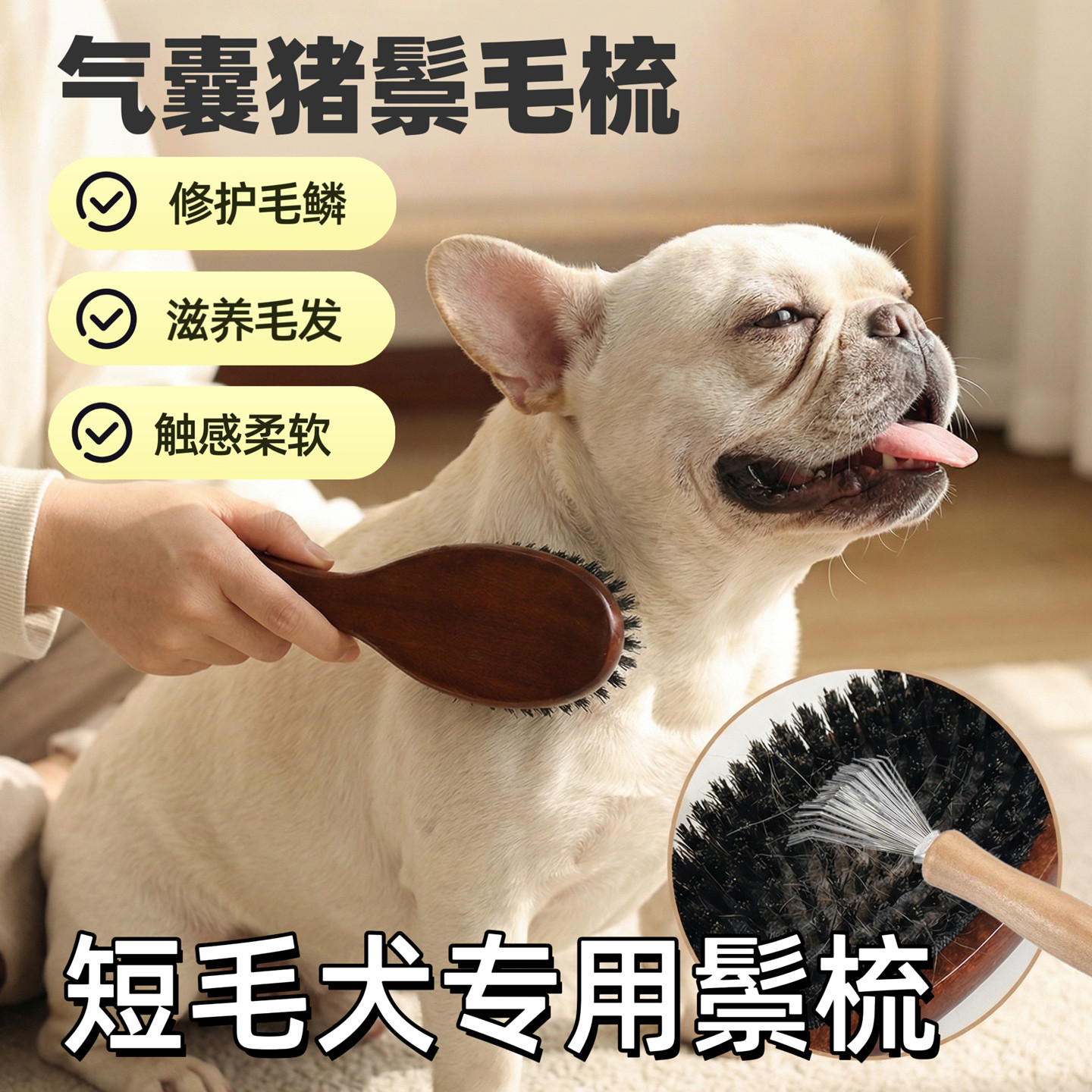 短毛犬法斗专用猪鬃毛刷去浮死毛亮毛发宠物狗狗按摩梳子不伤皮肤
