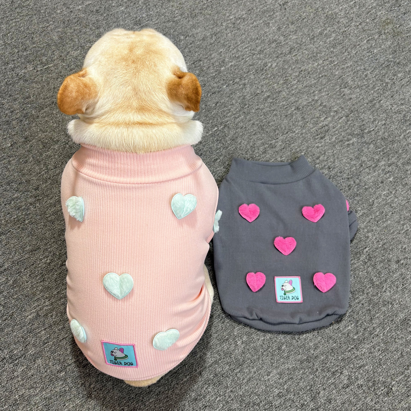 法斗巴哥秋冬款打底衫斗牛犬弹力可爱T恤卫衣加厚宠物小狗狗衣服,宠物/宠物食品及用品,狗宠物服装/雨衣,淘宝优惠券,粉丝福利购,淘宝优惠卷