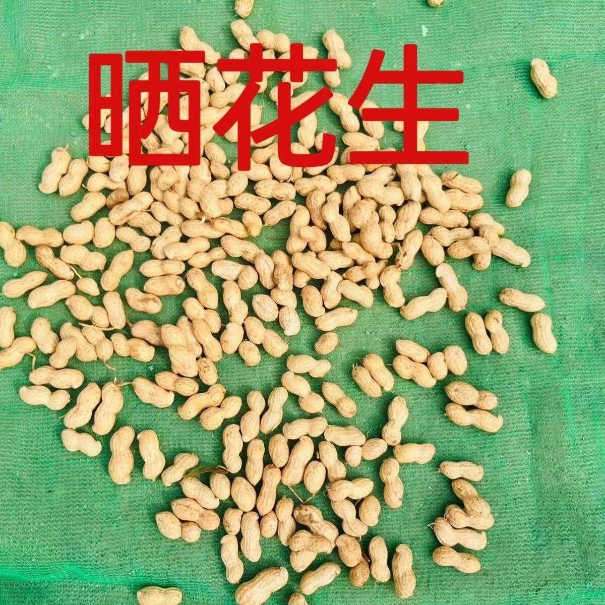 晒粮晒谷物收谷晒干凉麦子神器晒粮食网晒谷物神器晒花生布晒玉米