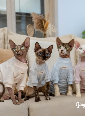 GINGERAIN  有机棉内衣德文猫衣服无毛猫柯尼斯天然彩棉婴儿长袖