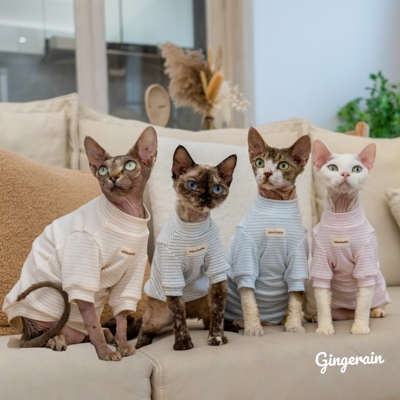 无毛猫衣服环保有机棉GINGERAIN