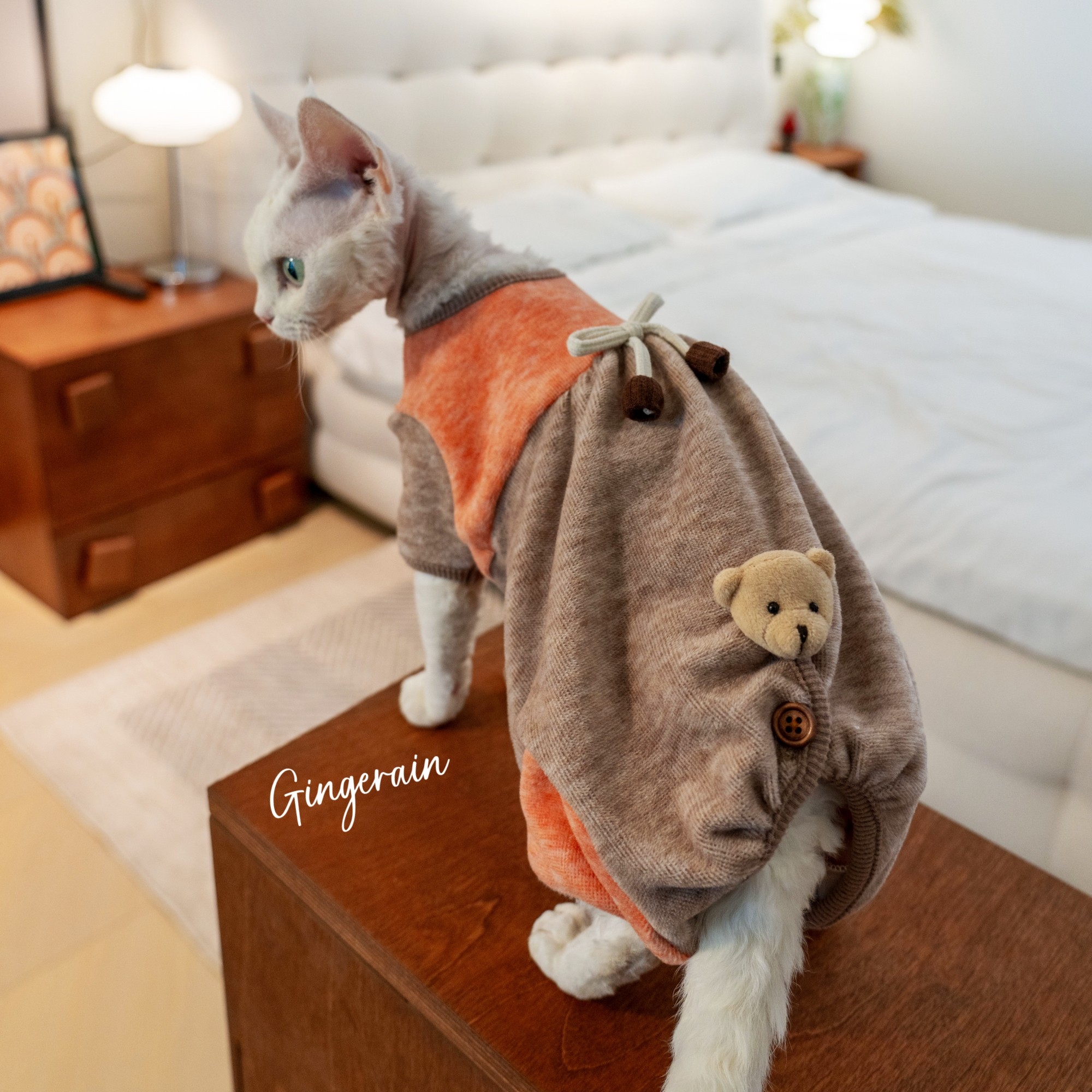 GINGERAIN 加厚绒绒护肚四腿德文猫衣服无毛猫高弹绝育服肥猫必入