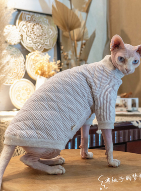 GINGERAIN 斯芬克斯无毛猫衣服夹棉无骨缝保护敏感皮肤保暖卫衣