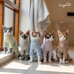 GINGERAIN 莱卡高弹打底德文猫无毛猫衣服条纹四腿高领卫衣