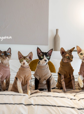 GINGERAIN 德文猫衣服无毛猫背心纯棉磨毛保暖基础款条纹背心