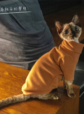 GINGERAIN 加厚300克重打底衫无毛猫德文猫衣服发热绒耐脏内衣