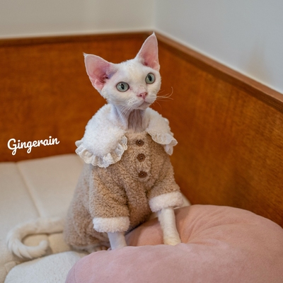 GINGERAIN德文猫暖绒绒睡衣