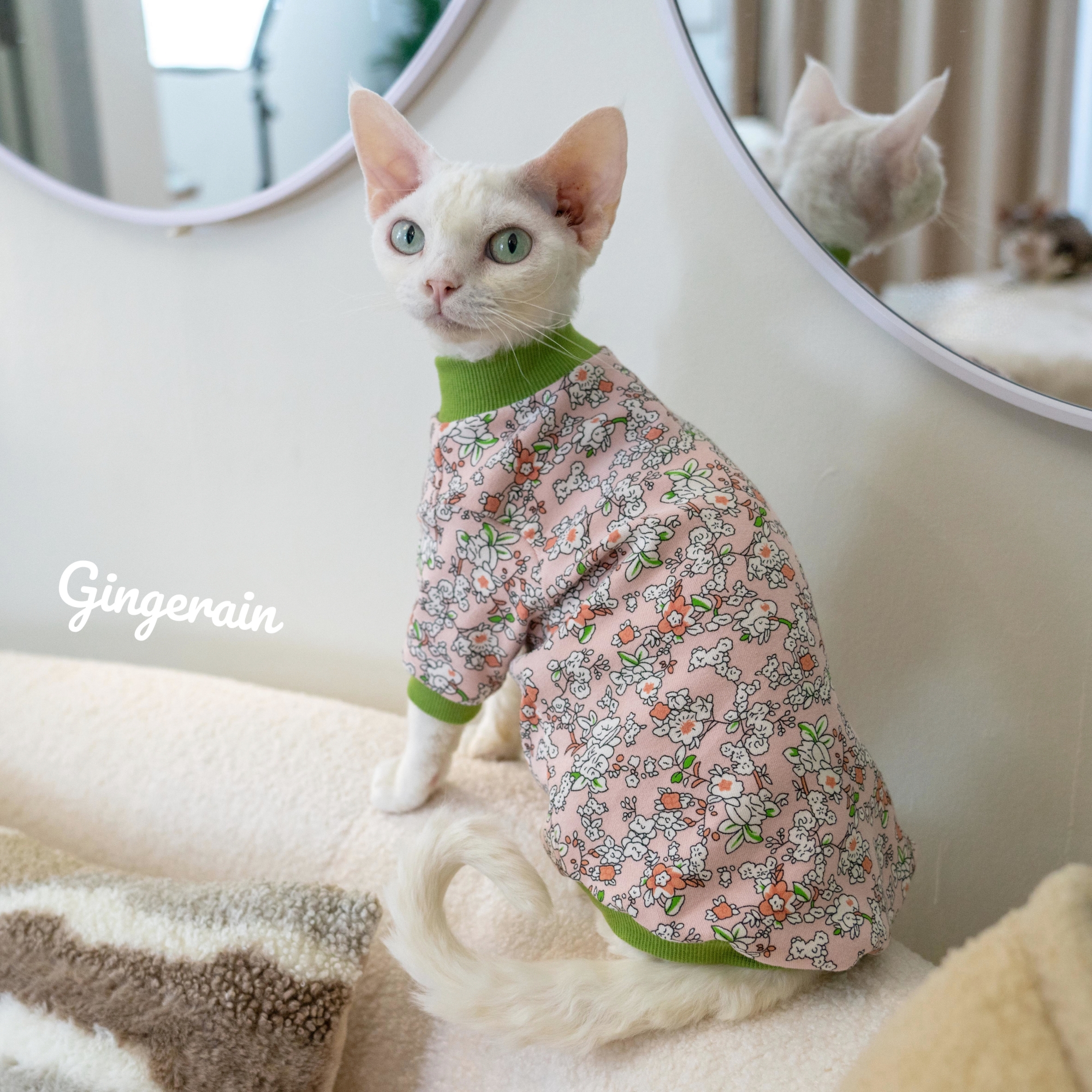 GINGERAIN德文猫卡通印花T恤