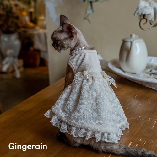 GINGERAIN 米色蕾丝背心裙无毛猫德文猫衣服仙女网纱带内衬连衣裙