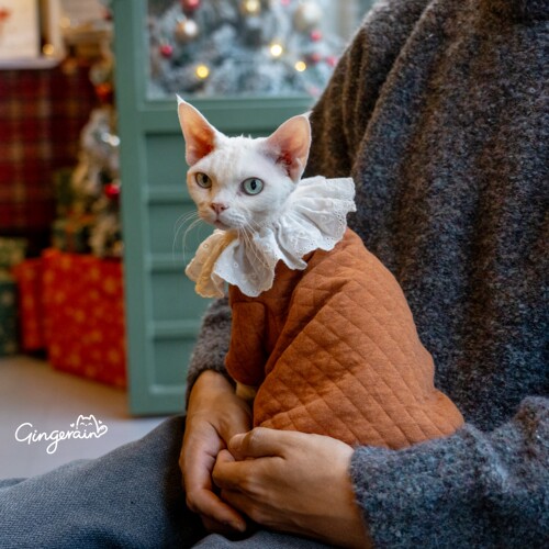 GINGERAIN 夹棉小外套系扣复古超实用德文猫衣服无毛猫保暖卫衣