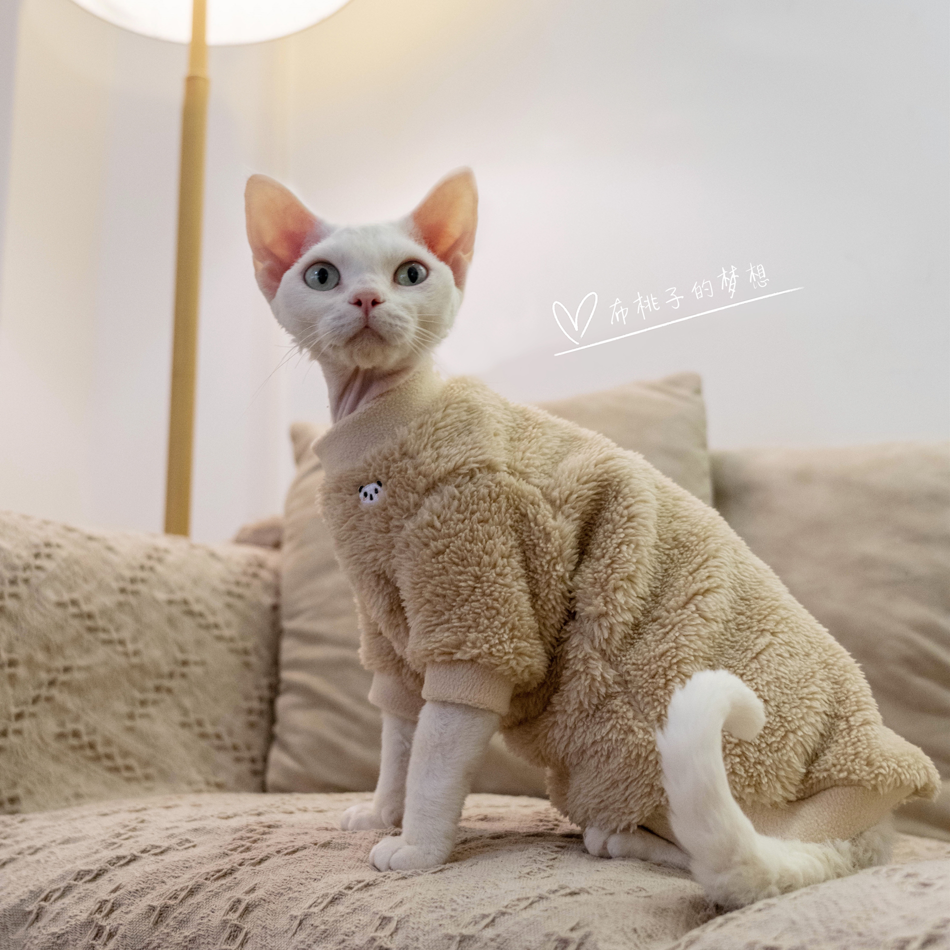 无毛猫GINGERAIN家居服超轻保暖