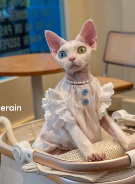 GINGERAIN南瓜宝宝衫无毛猫德文猫衣服夏季宽松透气纯棉背心