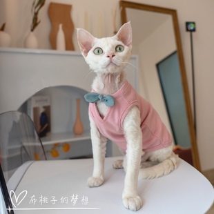 GINGERAIN 德文猫衣服无毛猫纯棉坑条深V蝴蝶结美胸背心打底衫