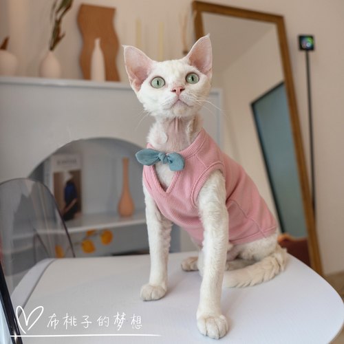 GINGERAIN/布桃子的梦想