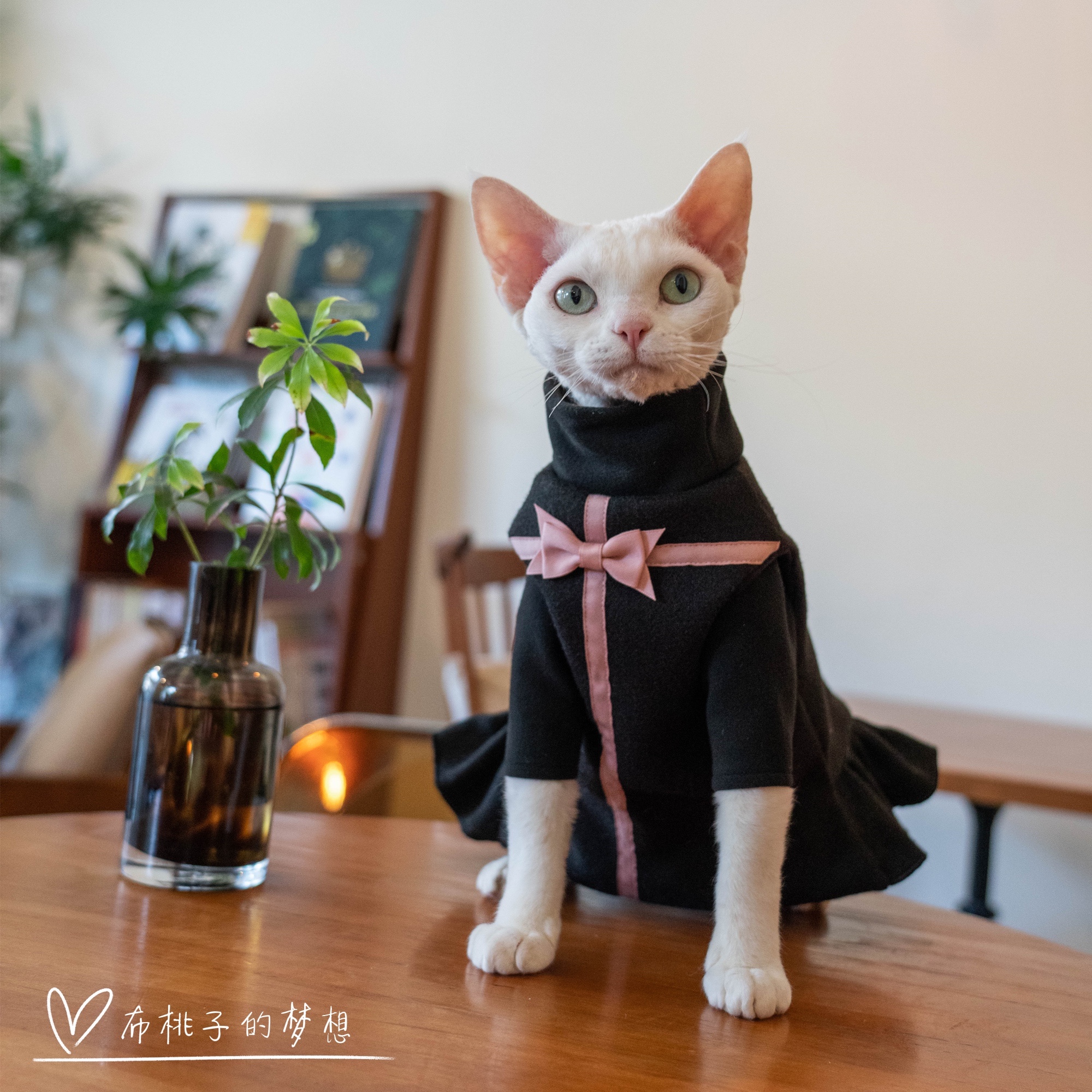 GINGERAIN德文猫羊毛呢连衣裙