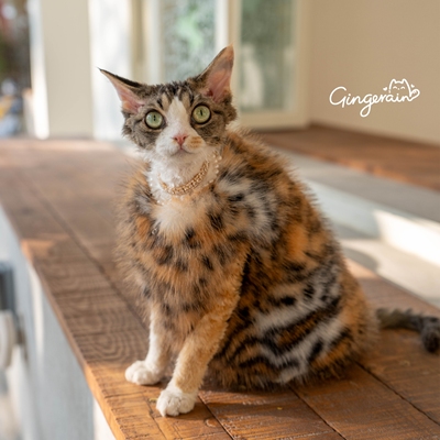 GINGERAIN德文猫仿皮草大衣