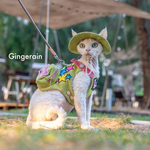 GINGERAIN  露营户外书包牛仔遛猫胸背带牵引绳套装德文无毛猫