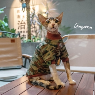 GINGERAIN 户外露营春秋纯棉卫衣无毛猫衣服德文猫迷彩军旅外套