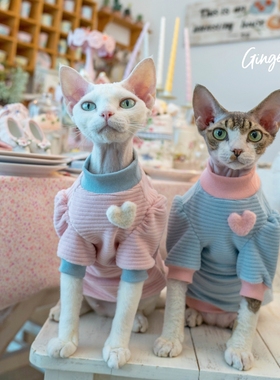 GINGERAIN 无毛猫德文猫衣服棉料卫衣套头毛绒感扎实保暖软糯亲肤