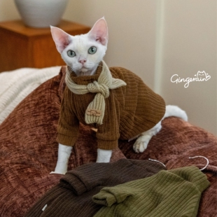 GINGERAIN 美拉德穿搭宠物衣服无毛猫德文猫卫衣套装韩剧日系保暖