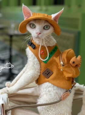 GINGERAIN  露营户外遛猫牛仔背包胸背带牵引绳德文无毛猫书包