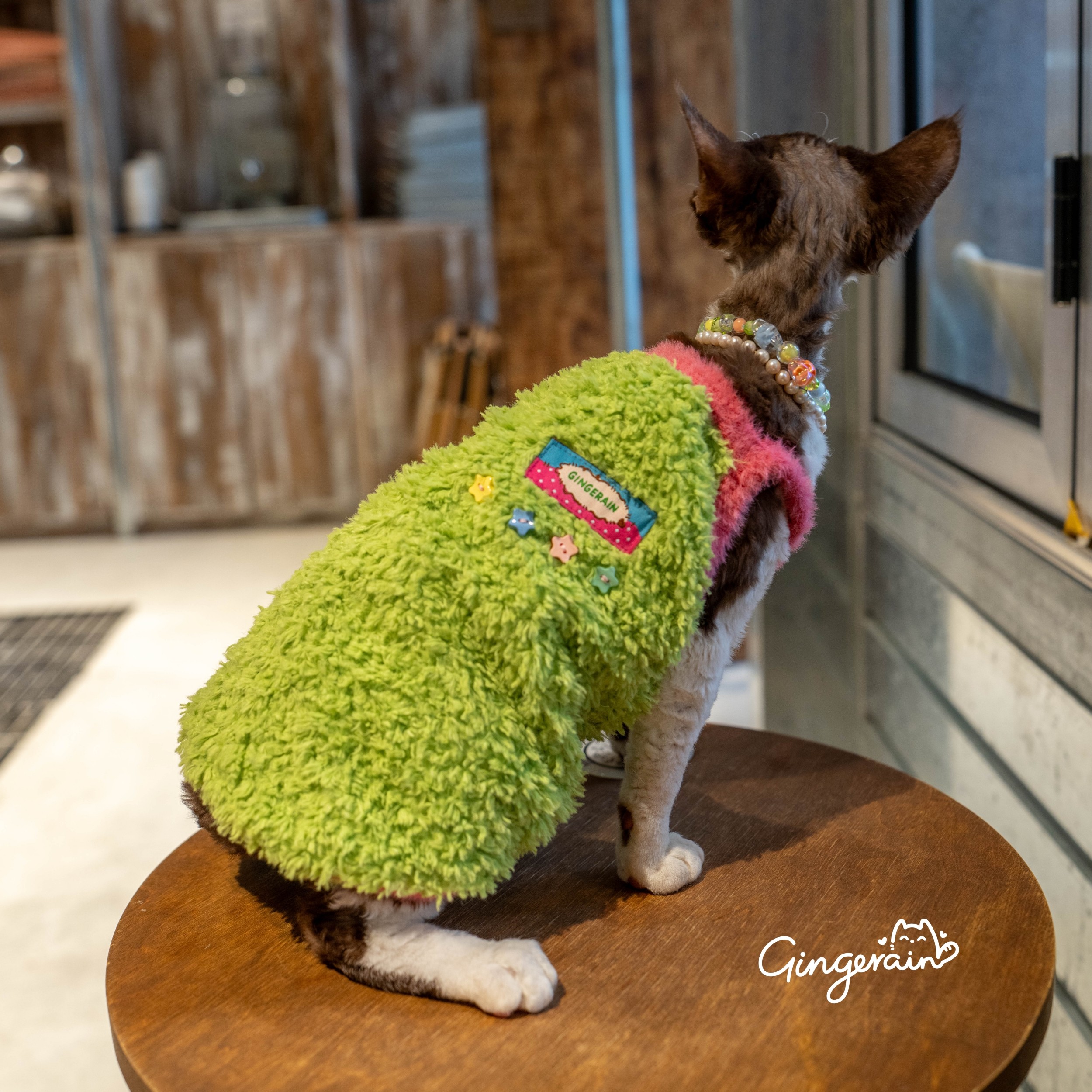 GINGERAIN 保暖吊带德文猫衣服无毛猫冬季护肚加绒撞色可爱背心,宠物/宠物食品及用品,猫宠物服装/雨衣（新）,淘宝优惠券,粉丝福利购,淘宝优惠卷