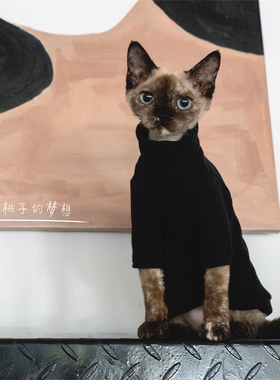 GINGERAIN 加厚300克重打底衫无毛猫德文猫衣服发热绒耐脏内衣